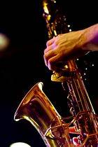 Michael Johancsik - Nuits Acoustiques 7 (photo by Bruce Toombs) Michael Johancsik - Nuits Acoustiques 7 (photo by Bruce Toombs)